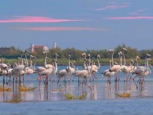 La Via delle Valli da pesca